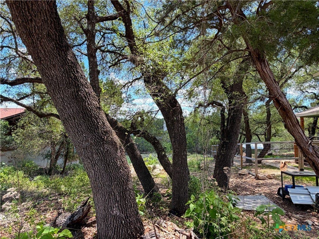0.3 acres in Comal County featured view