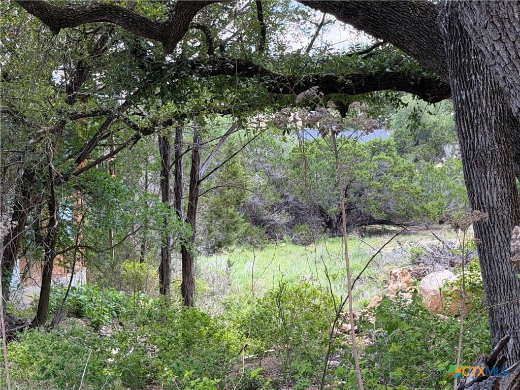 0.3 acres in Comal County gallery image 3