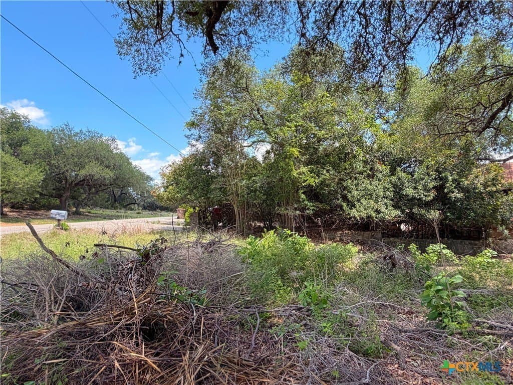 0.3 acres in Comal County - photo 17