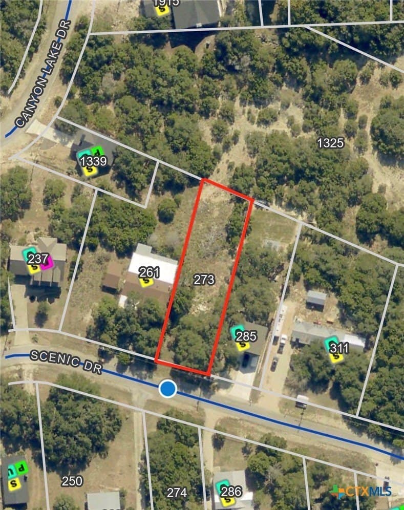 0.3 acres in Comal County - photo 20