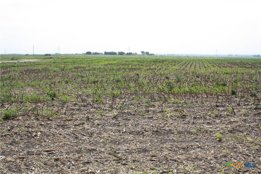 11 acres in Bell County - photo 7