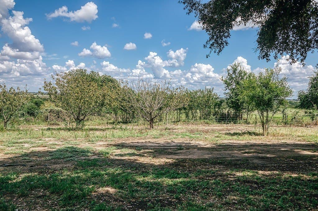 3.13 acres in Washington County - photo 28