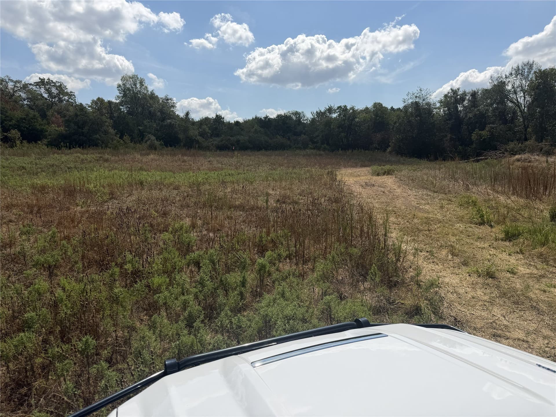 3.23 acres in Parker County - photo 9