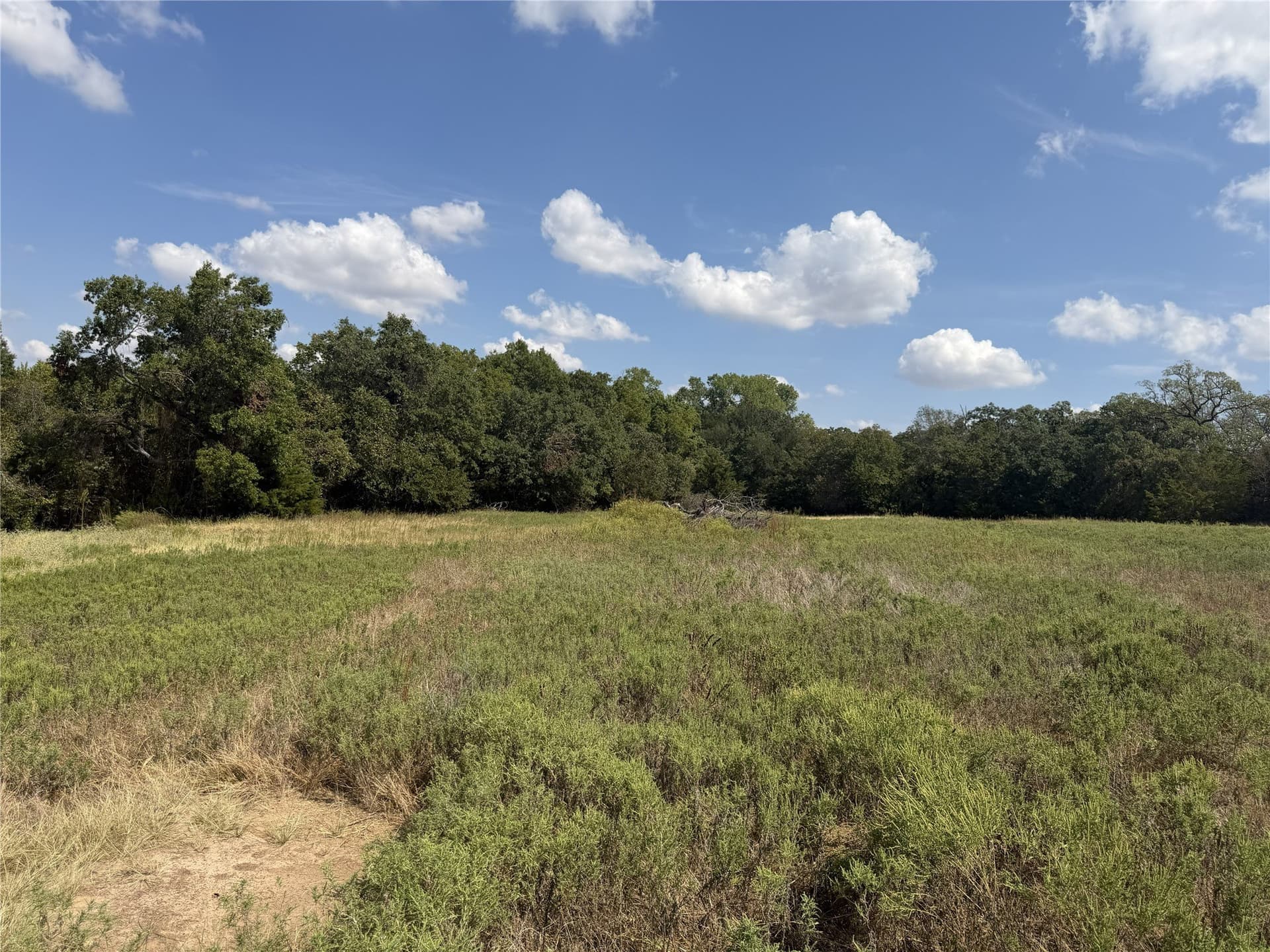 3.23 acres in Parker County - photo 6