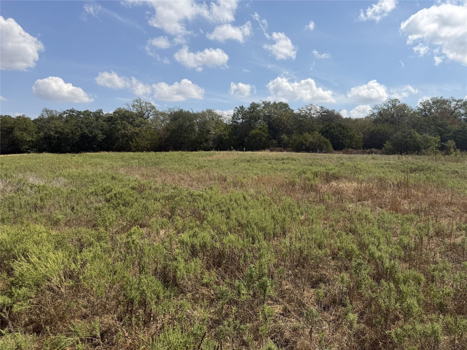 3.23 acres in Parker County - photo 7