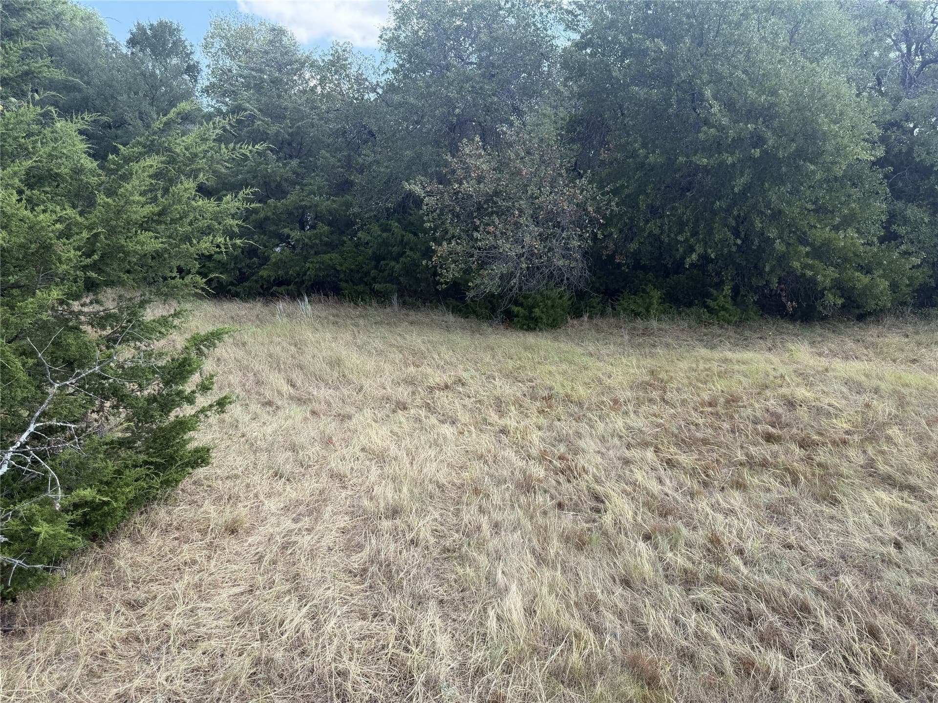 3.23 acres in Parker County - photo 20