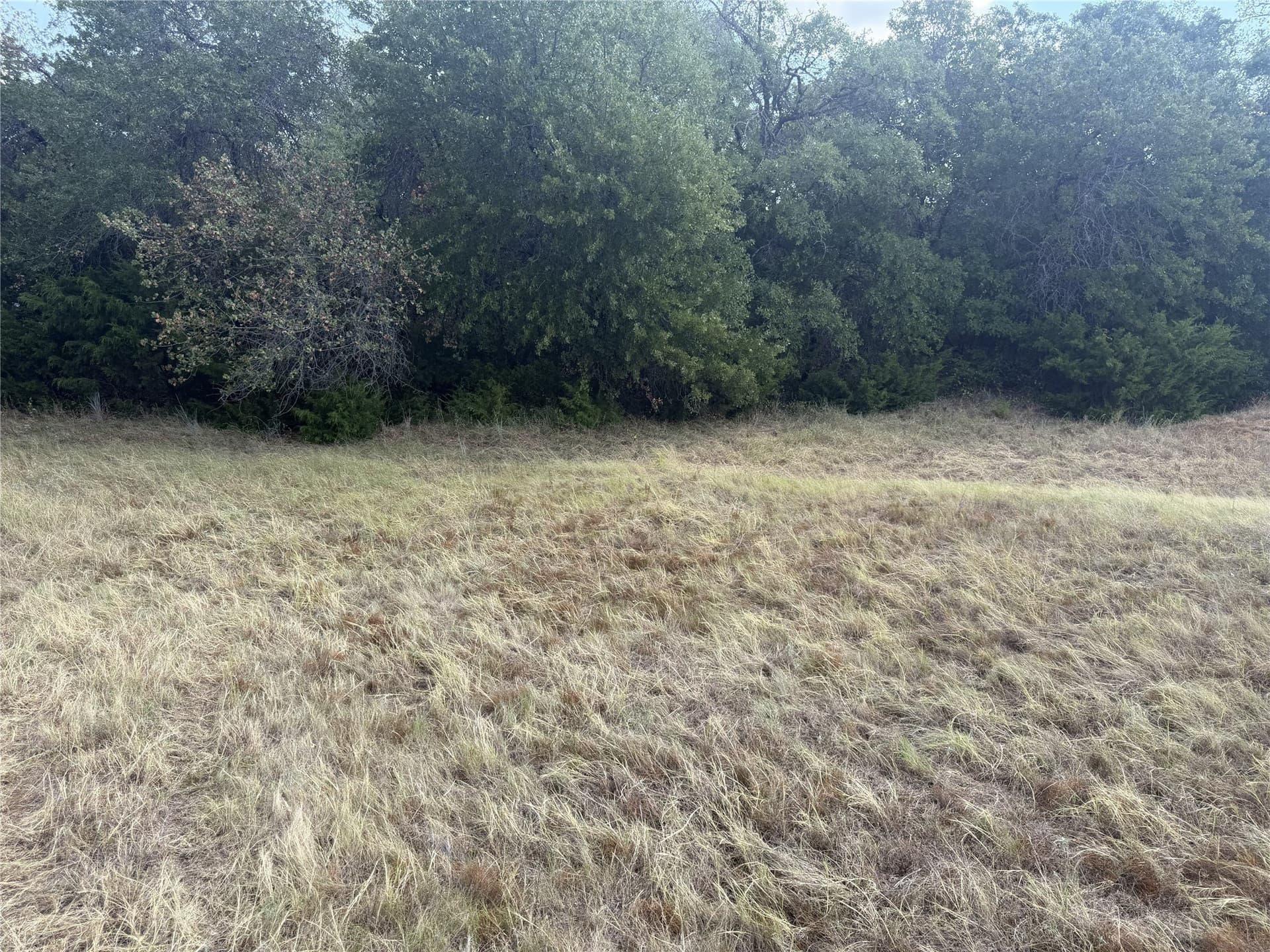3.23 acres in Parker County - photo 19