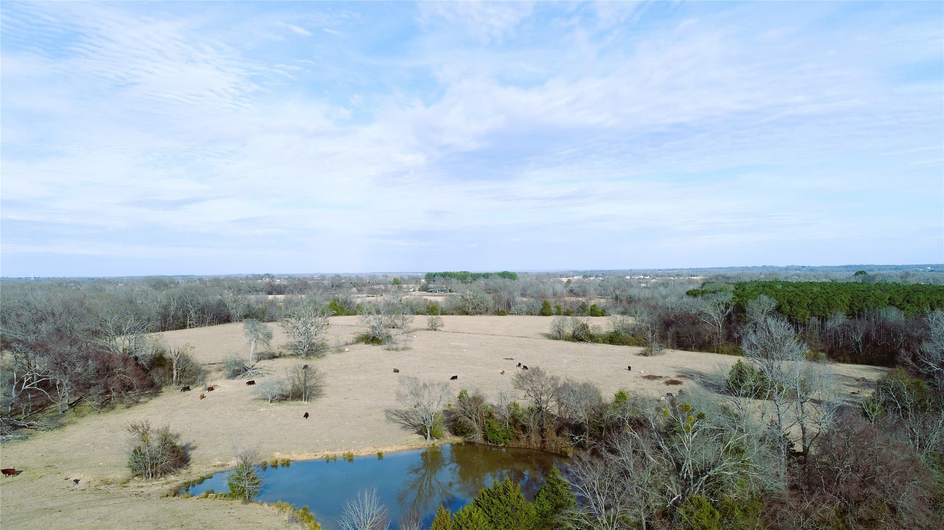 100.06 acres in Van Zandt County
