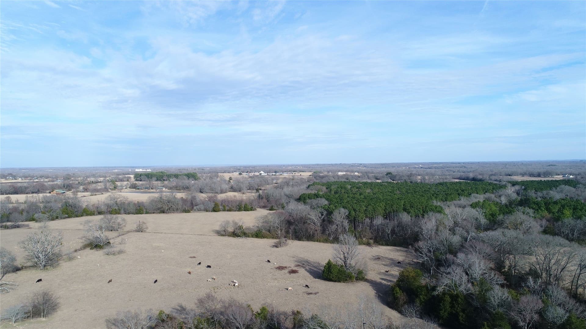 100.06 acres in Van Zandt County - photo 19