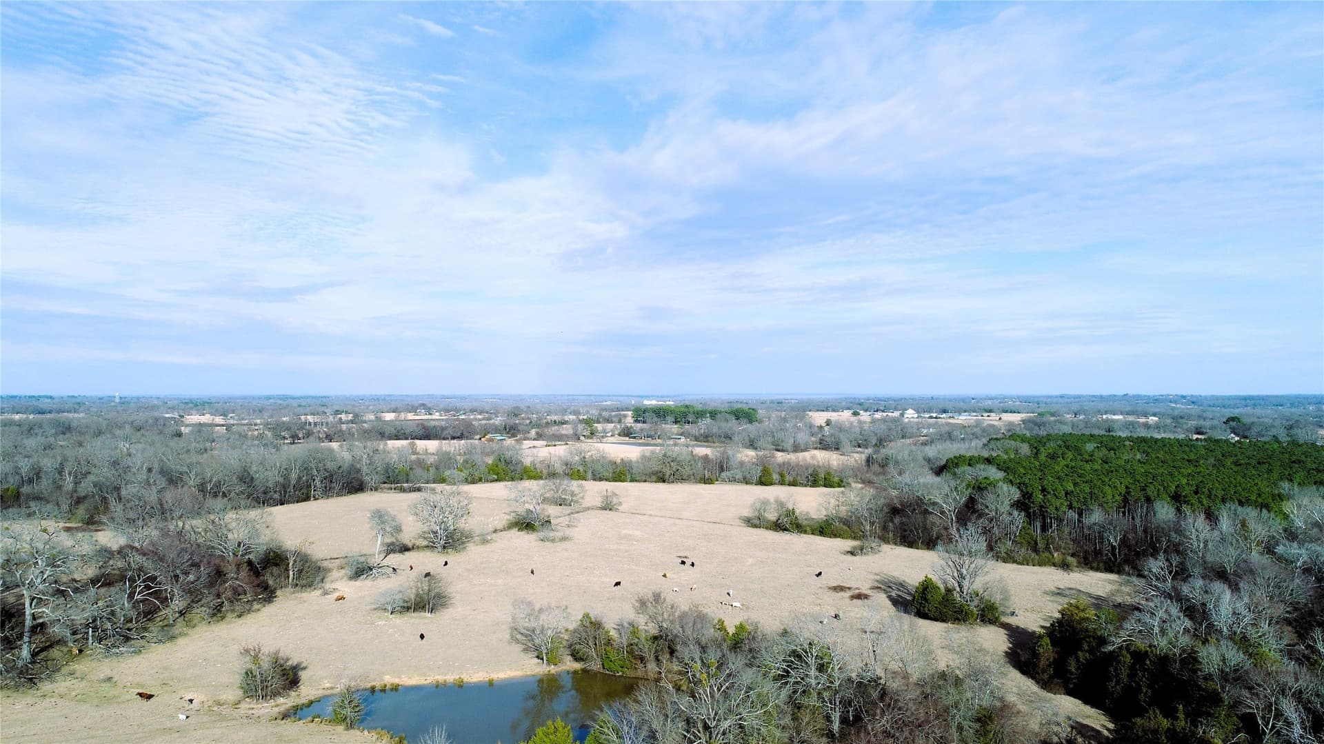 100.06 acres in Van Zandt County - photo 3