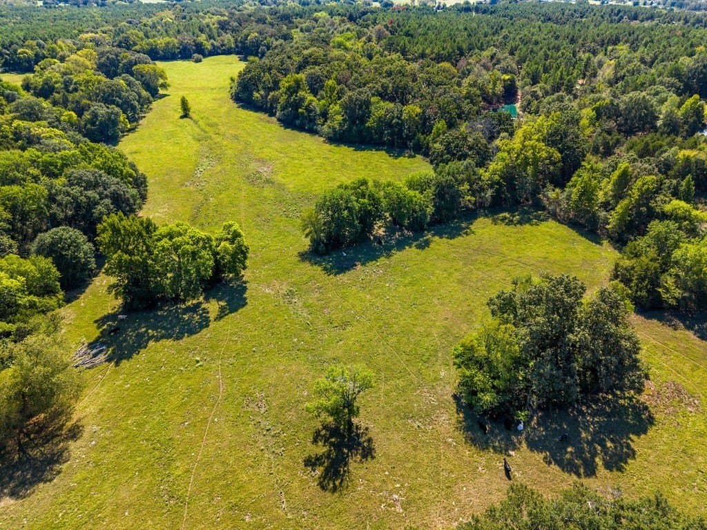 100.06 acres in Van Zandt County - photo 8