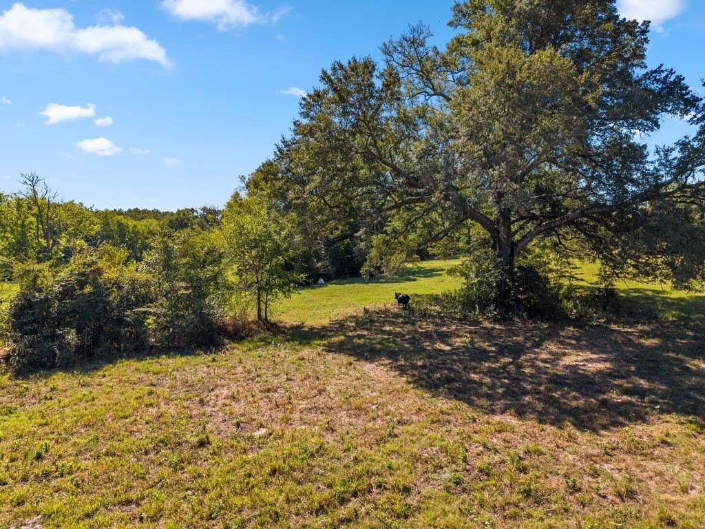 100.06 acres in Van Zandt County - photo 16