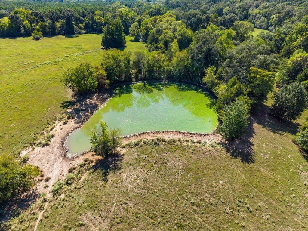 100.06 acres in Van Zandt County - photo 3