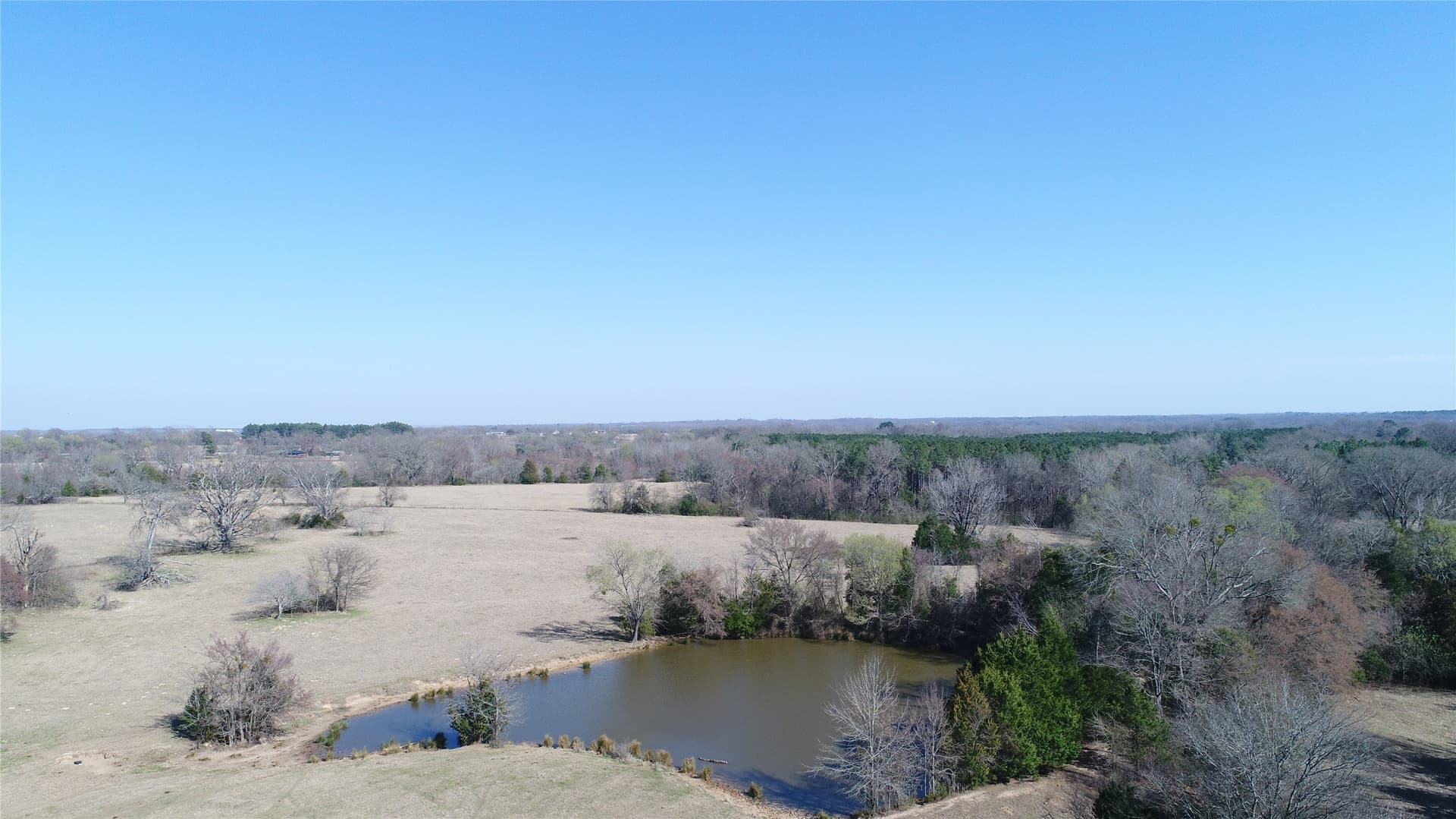 100.06 acres in Van Zandt County - photo 4
