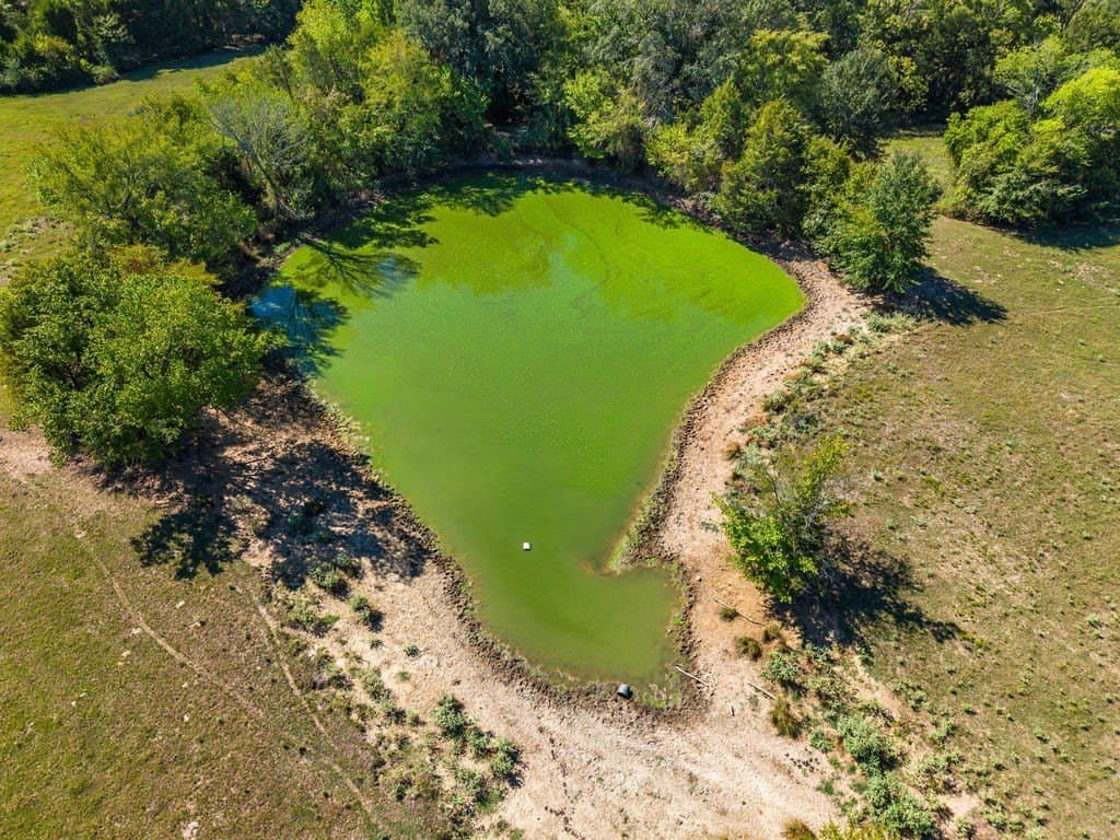 100.06 acres in Van Zandt County - photo 4