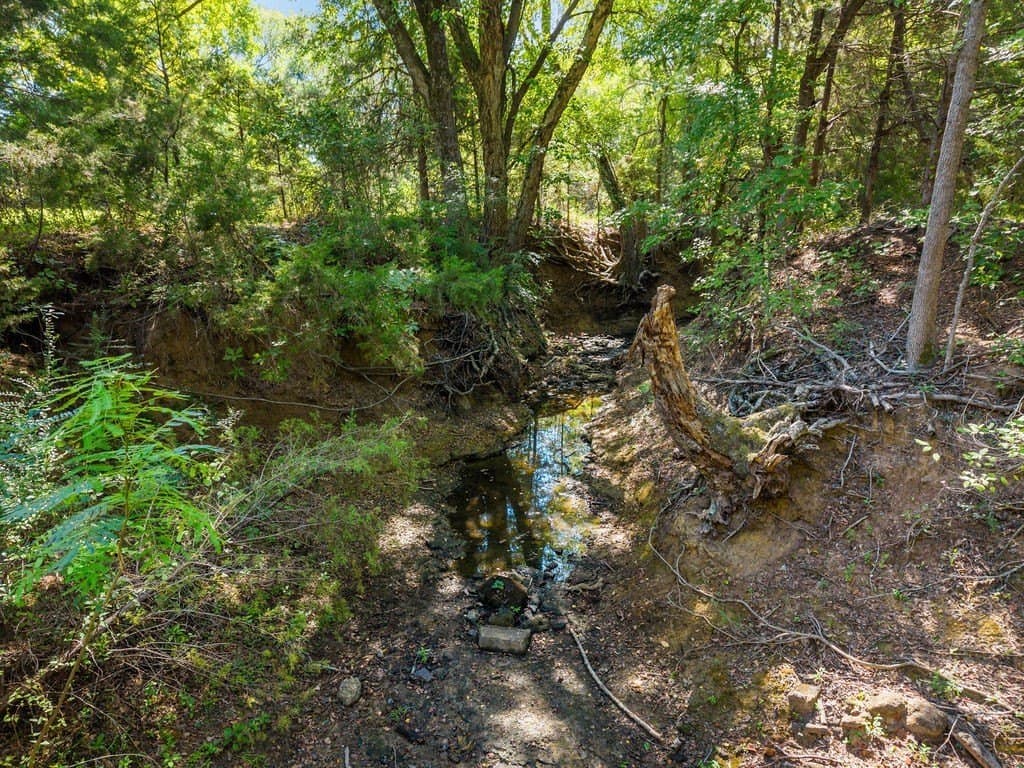 100.06 acres in Van Zandt County - photo 10