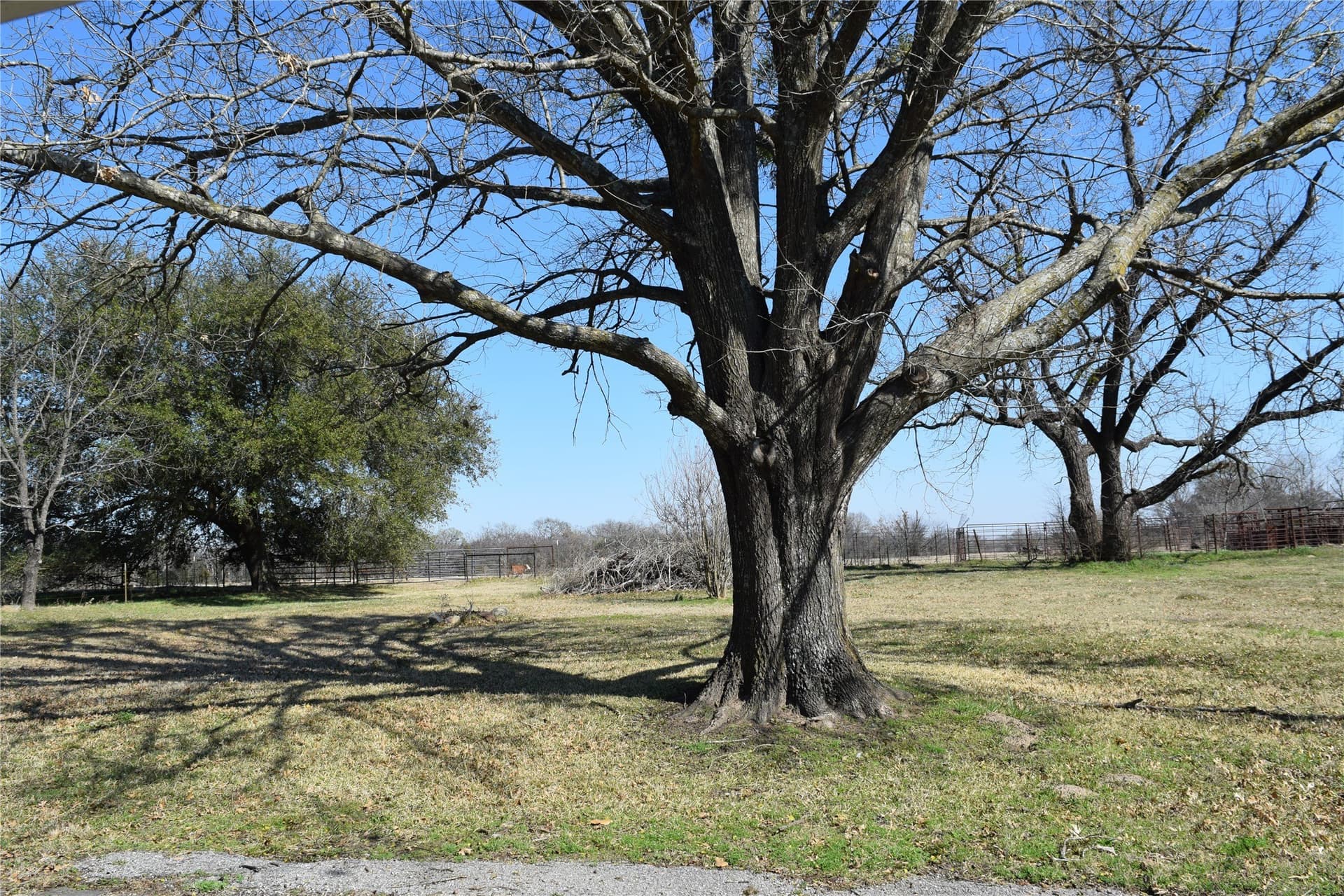 100.06 acres in Van Zandt County - photo 20