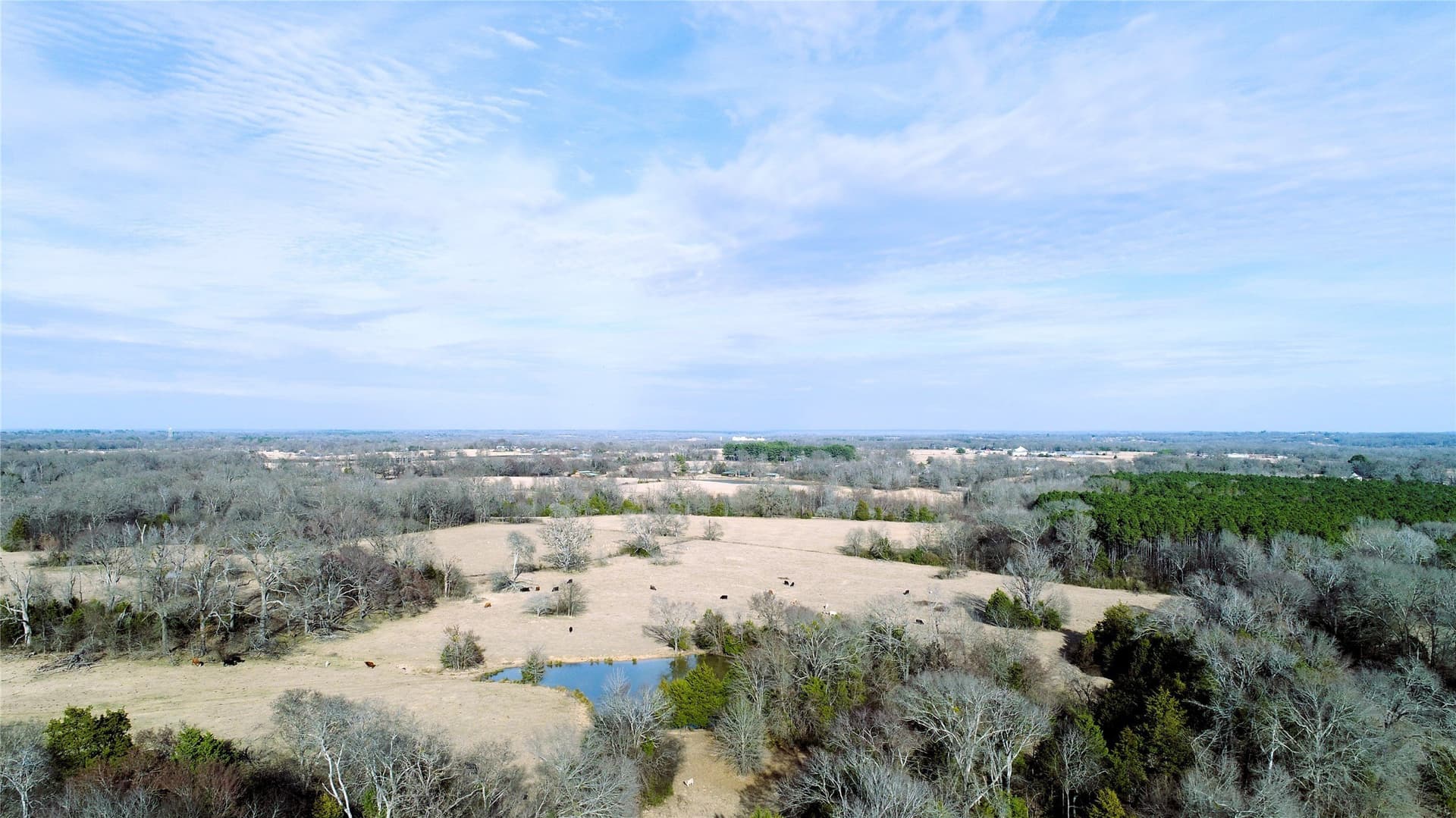 100.06 acres in Van Zandt County - photo 5