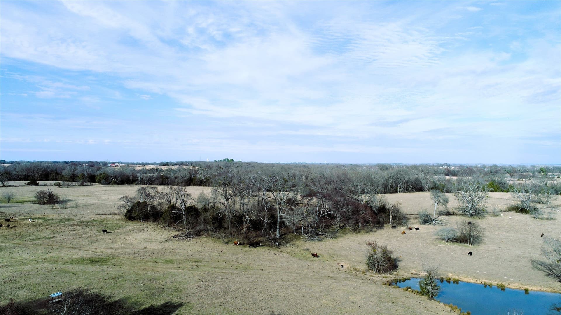 100.06 acres in Van Zandt County - photo 2
