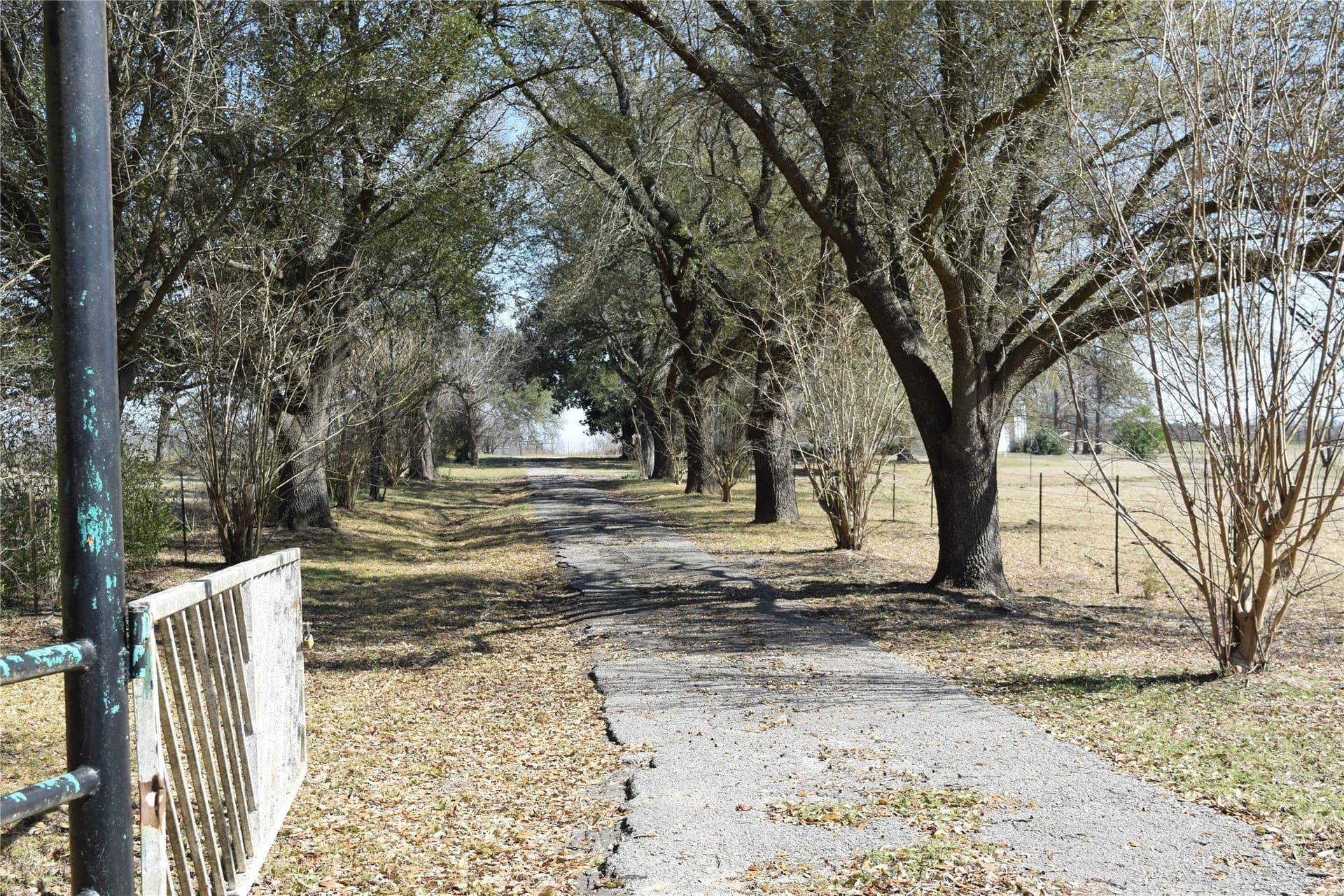 100.06 acres in Van Zandt County - photo 22