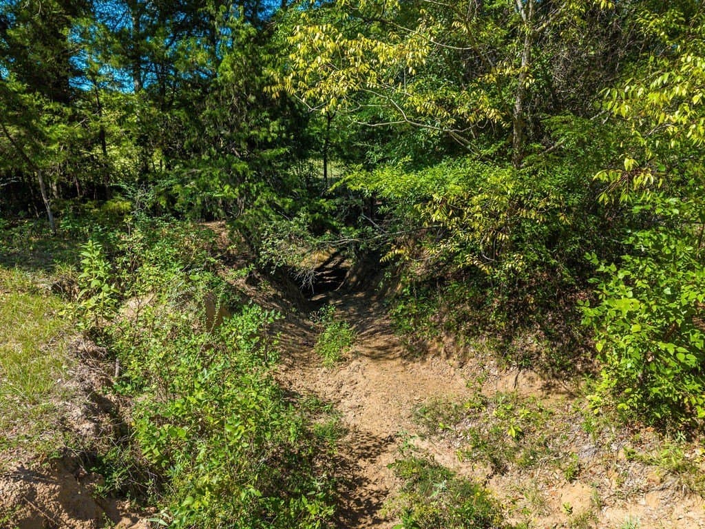 100.06 acres in Van Zandt County - photo 13