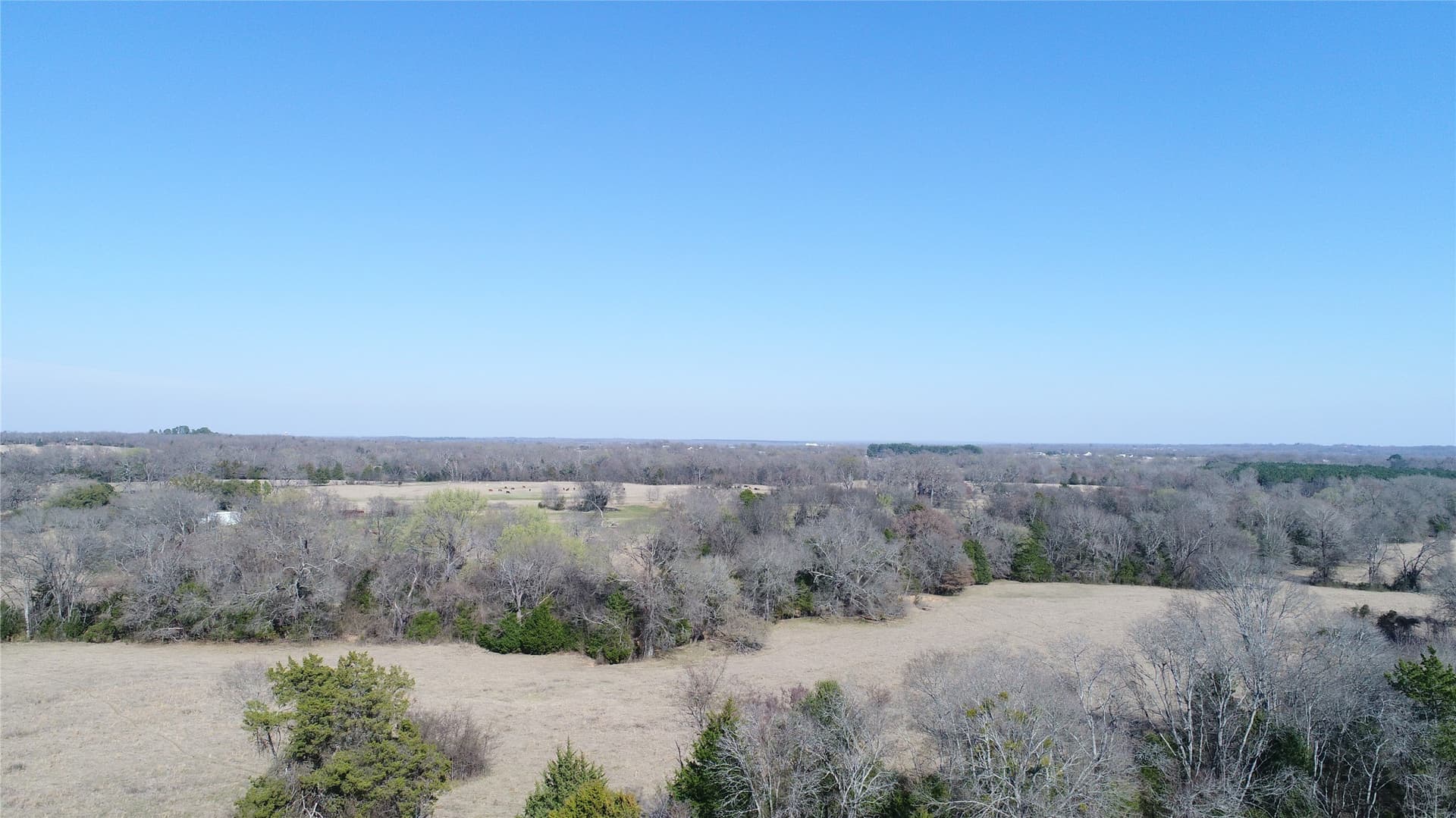 100.06 acres in Van Zandt County - photo 14