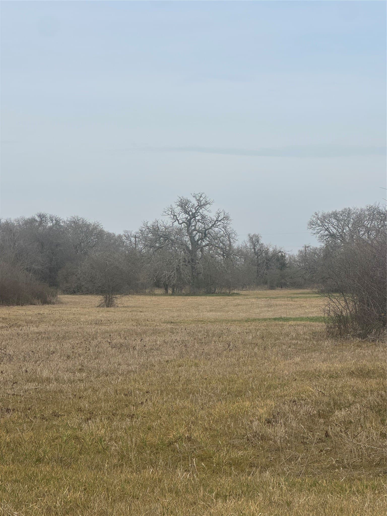 2.18 acres in Parker County - photo 6