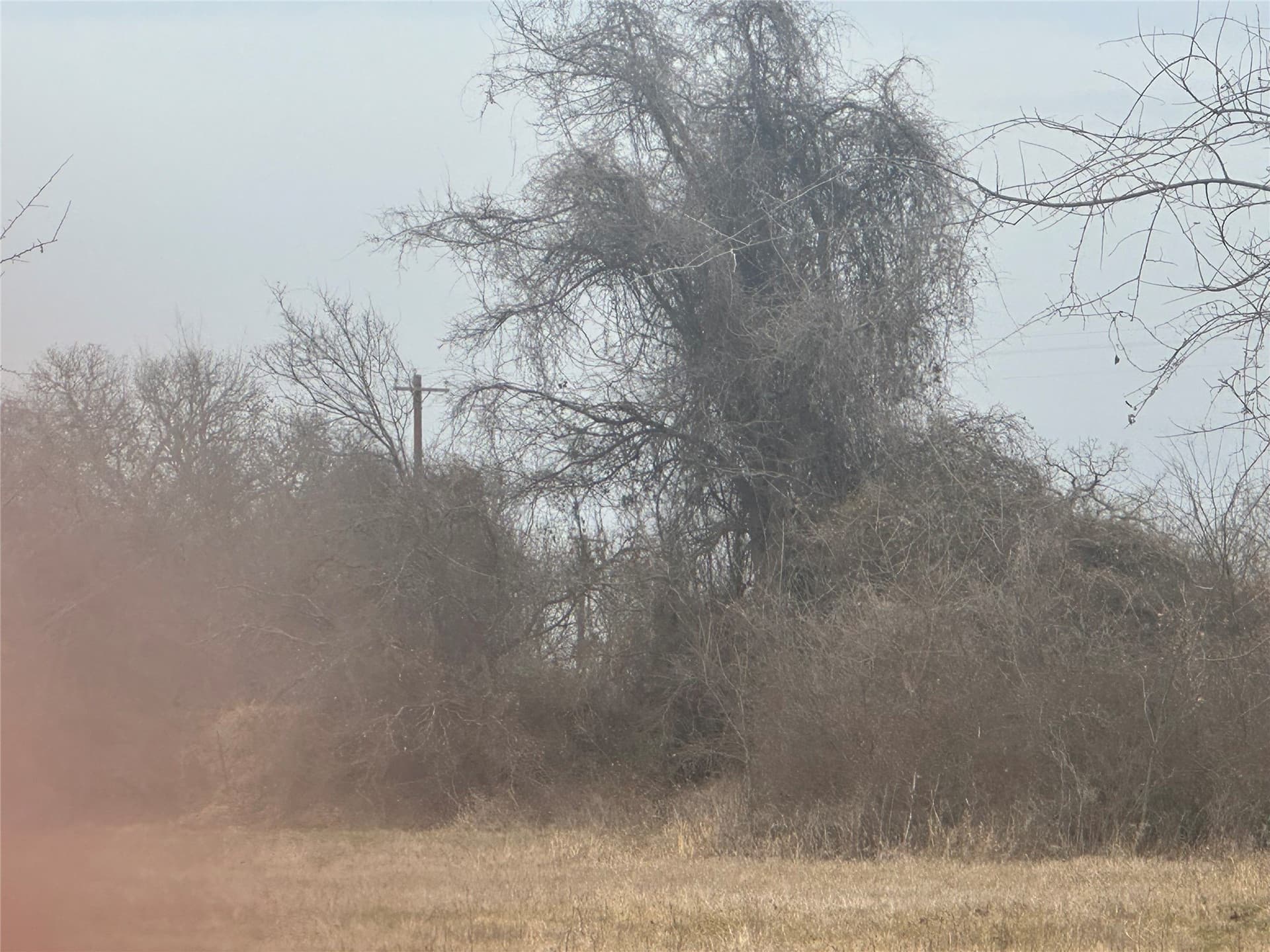 2.18 acres in Parker County - photo 5