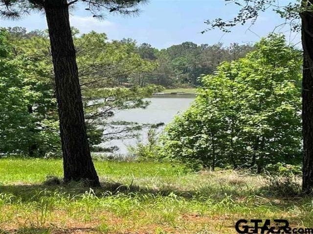 3.08 acres in Anderson County - photo 13