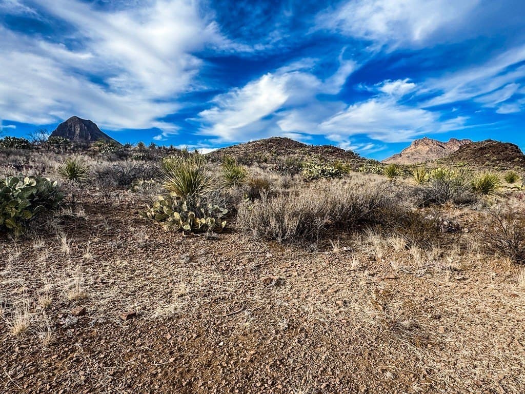 10.06 acres in Brewster County featured view