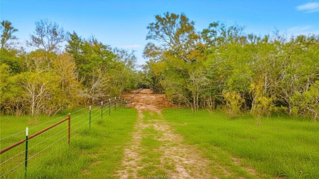 93 acres in Fayette County - photo 6