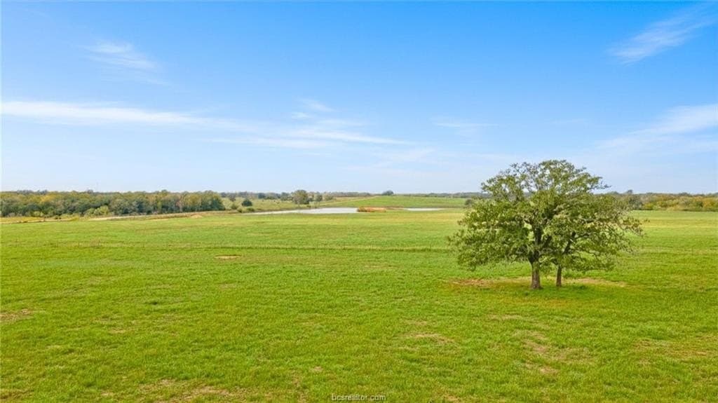 93 acres in Fayette County gallery image 4