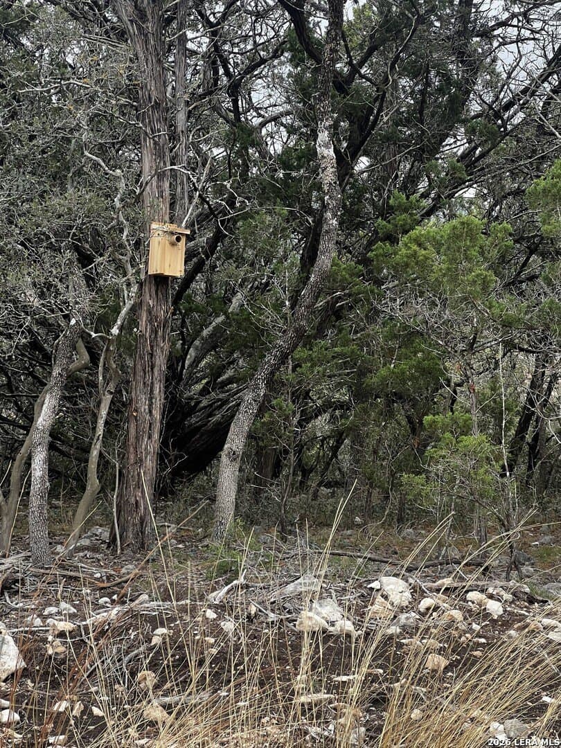 10.01 acres in Bandera County - photo 12