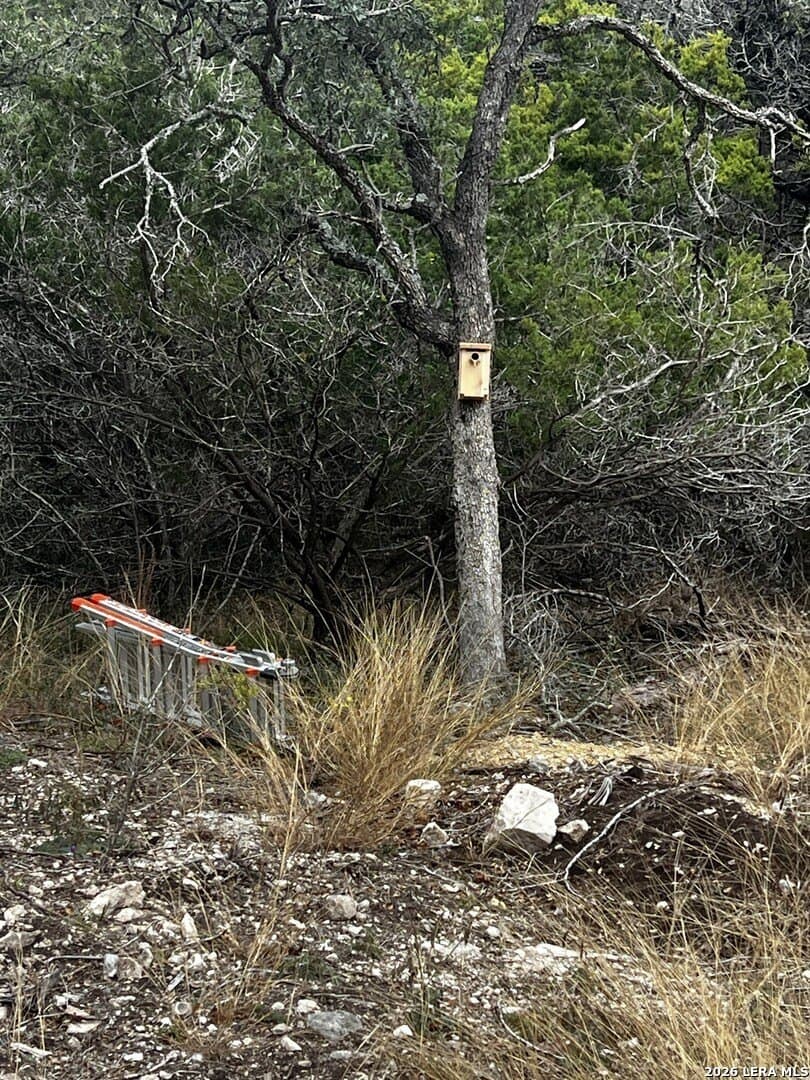 10.01 acres in Bandera County - photo 13