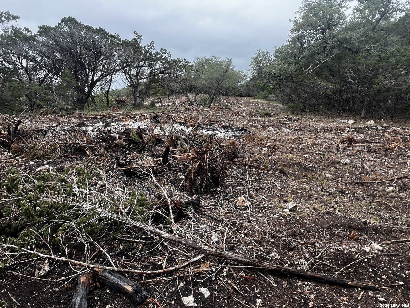 10.01 acres in Bandera County gallery image 4