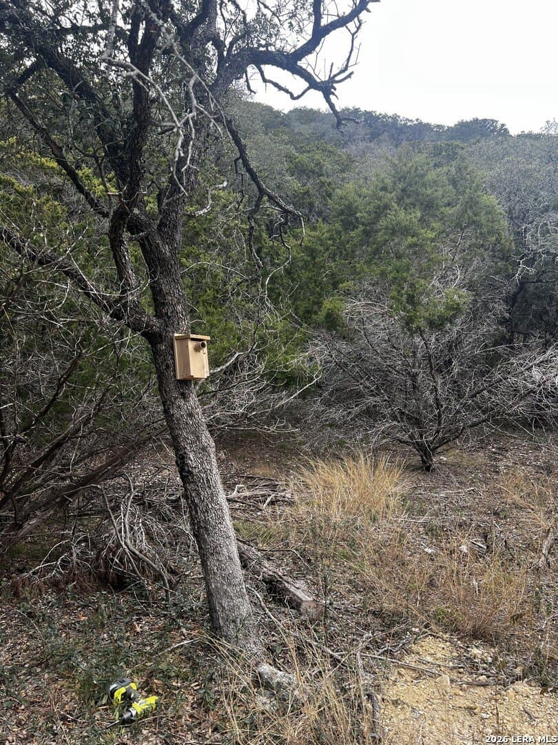 10.01 acres in Bandera County - photo 11