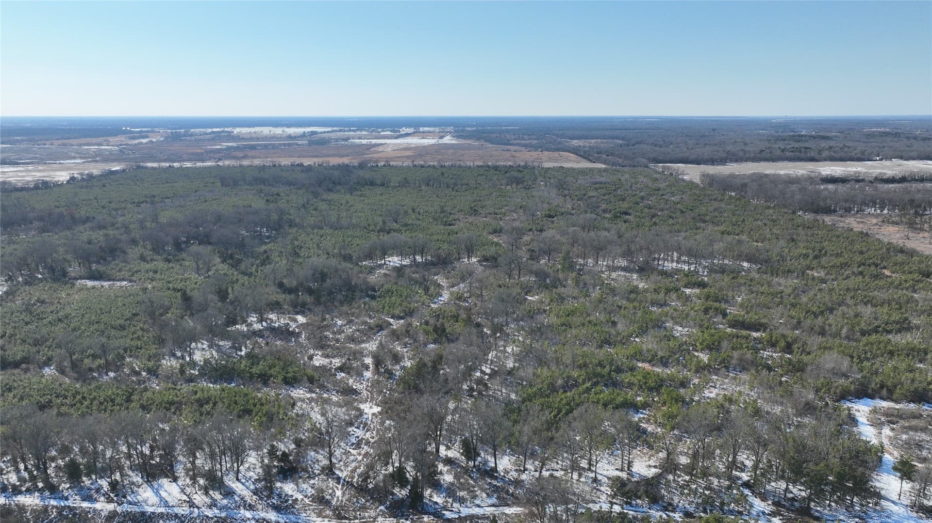 80.65 acres in Red River (TX) County gallery image 4