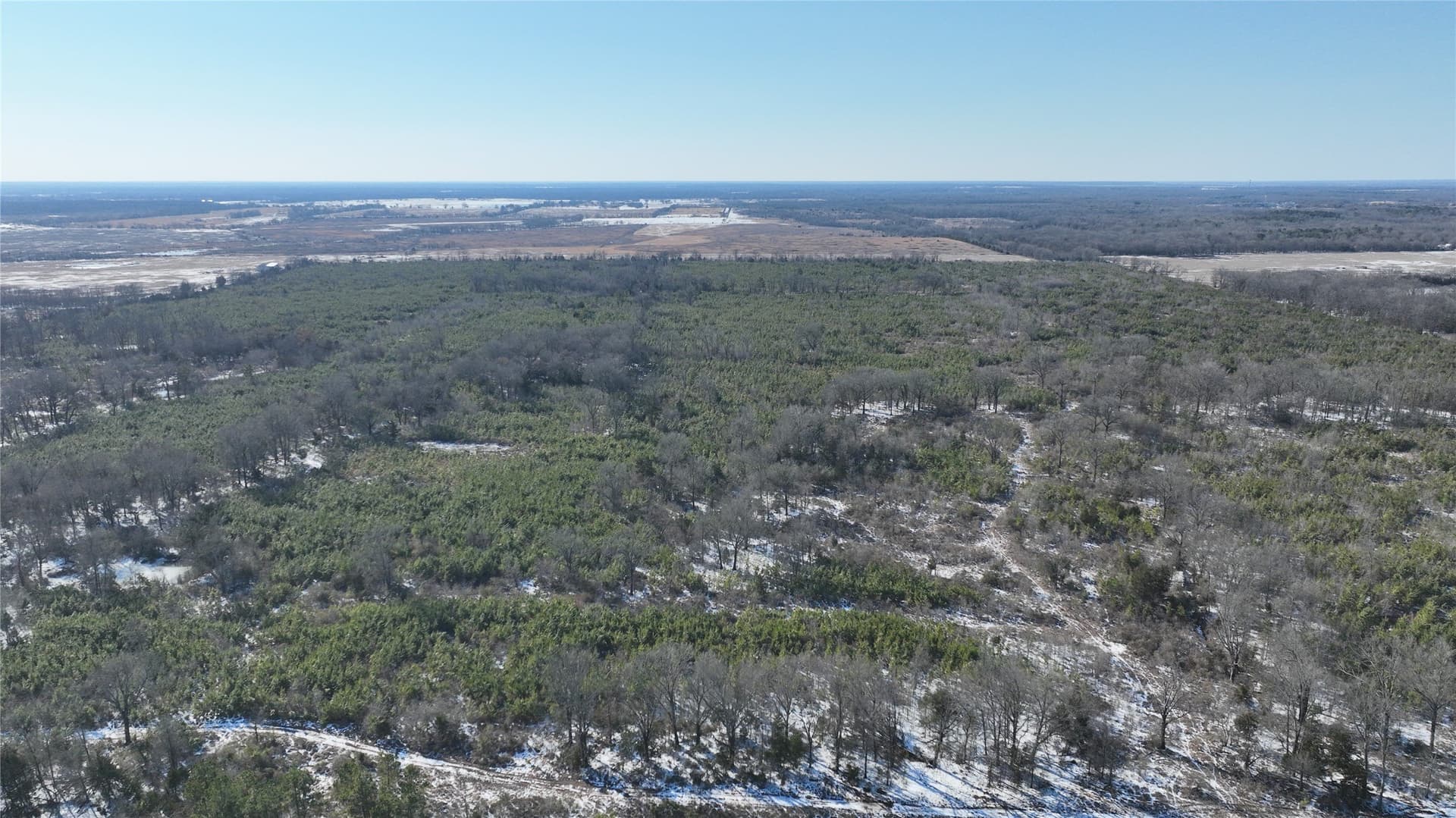 80.65 acres in Red River (TX) County featured view
