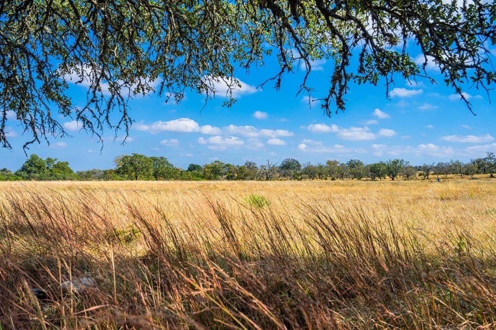 6.3 acres in Gillespie County - photo 11