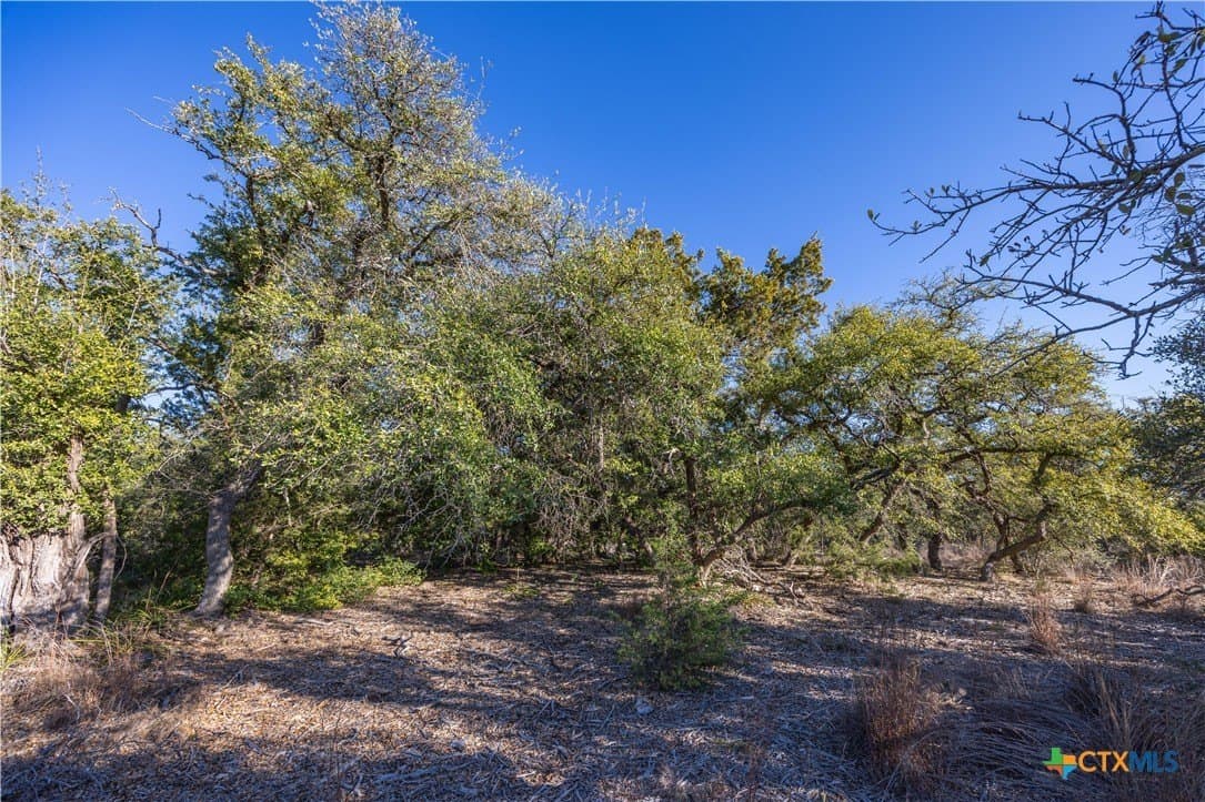 2.25 acres in Hays County - photo 3