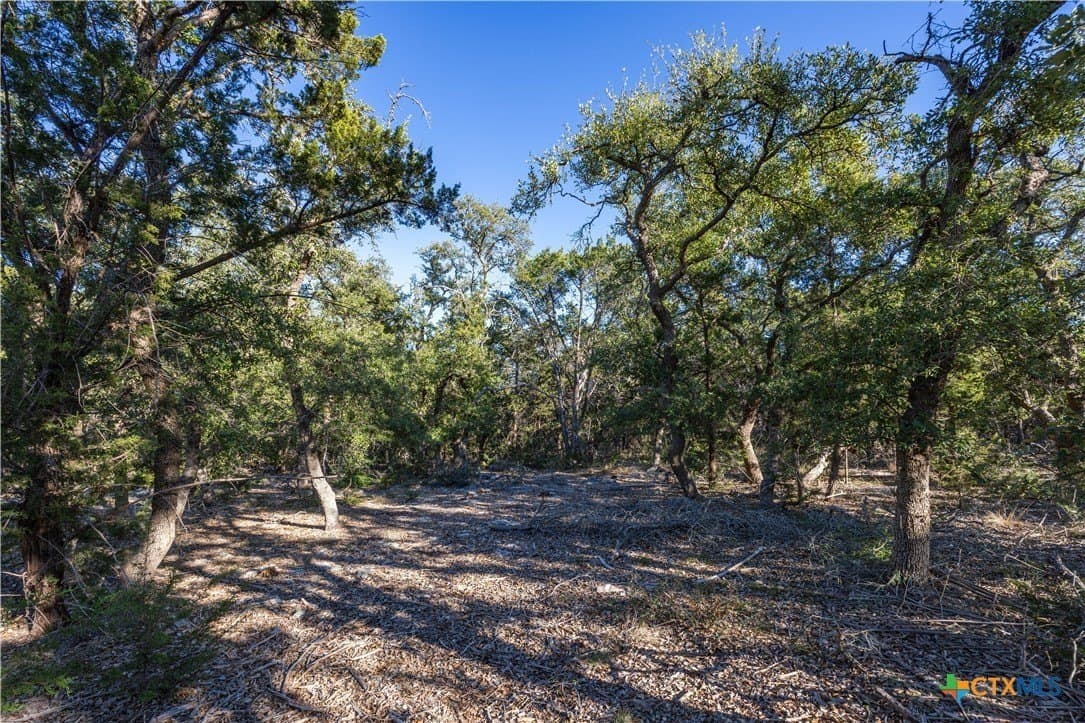 2.25 acres in Hays County - photo 2