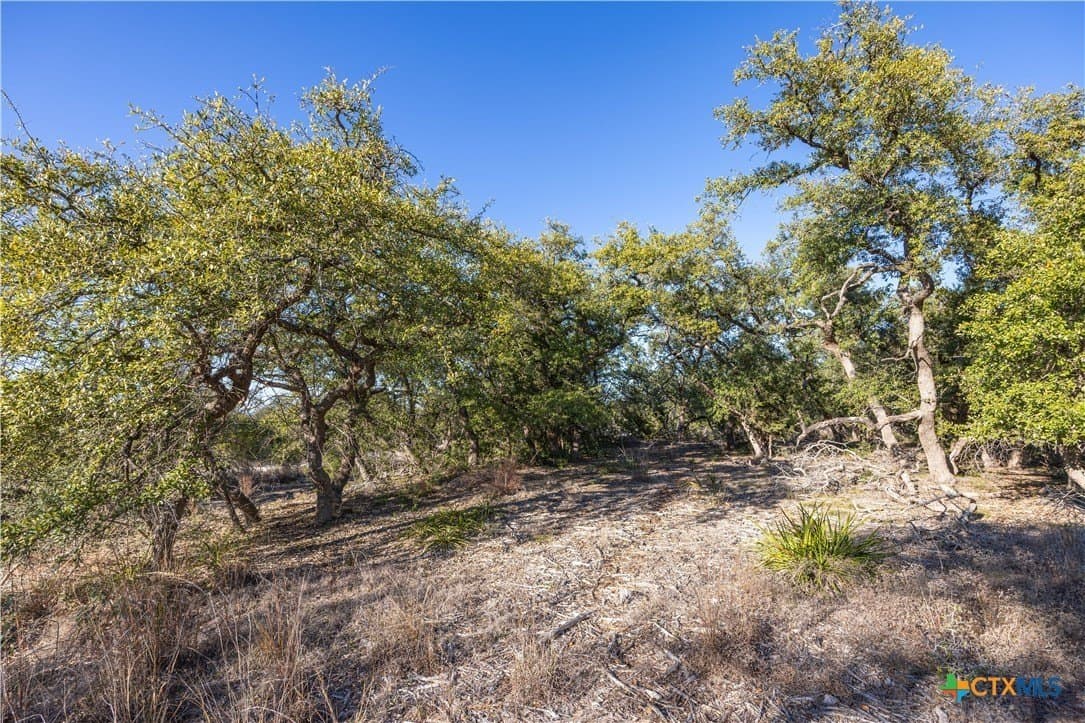 2.25 acres in Hays County - photo 5