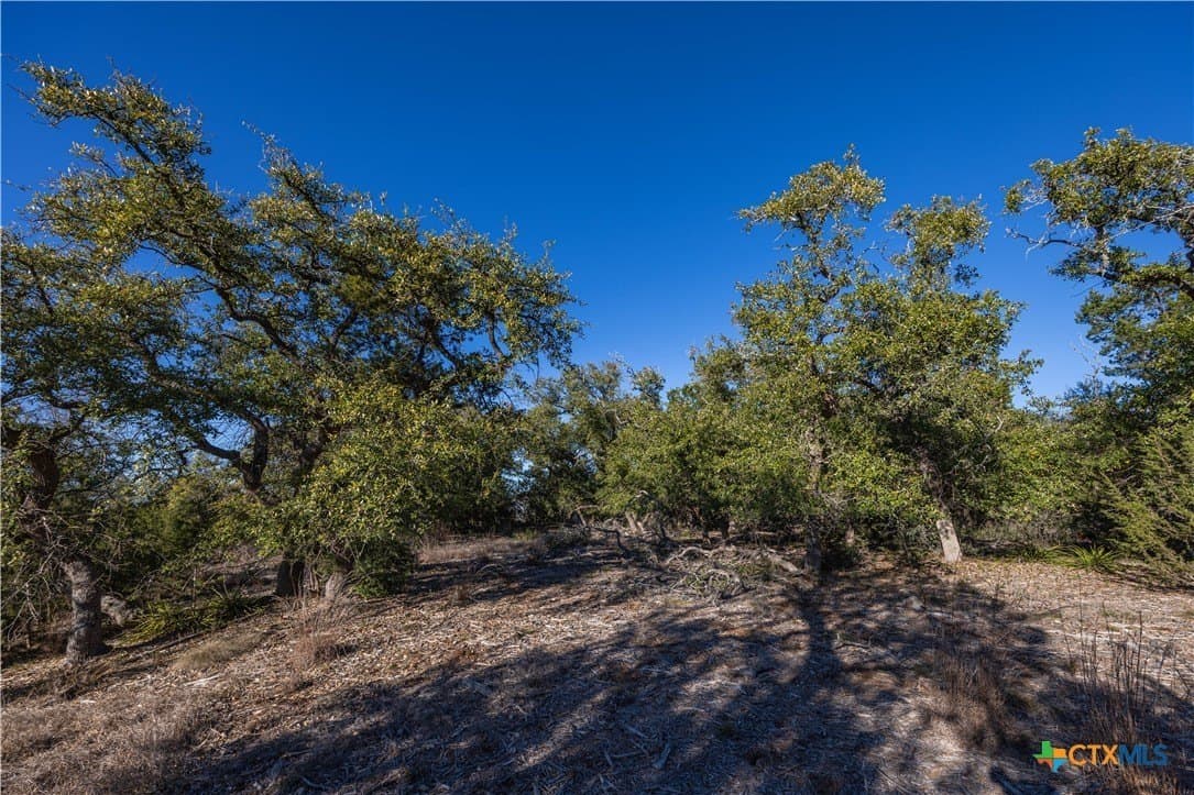 2.25 acres in Hays County - photo 4