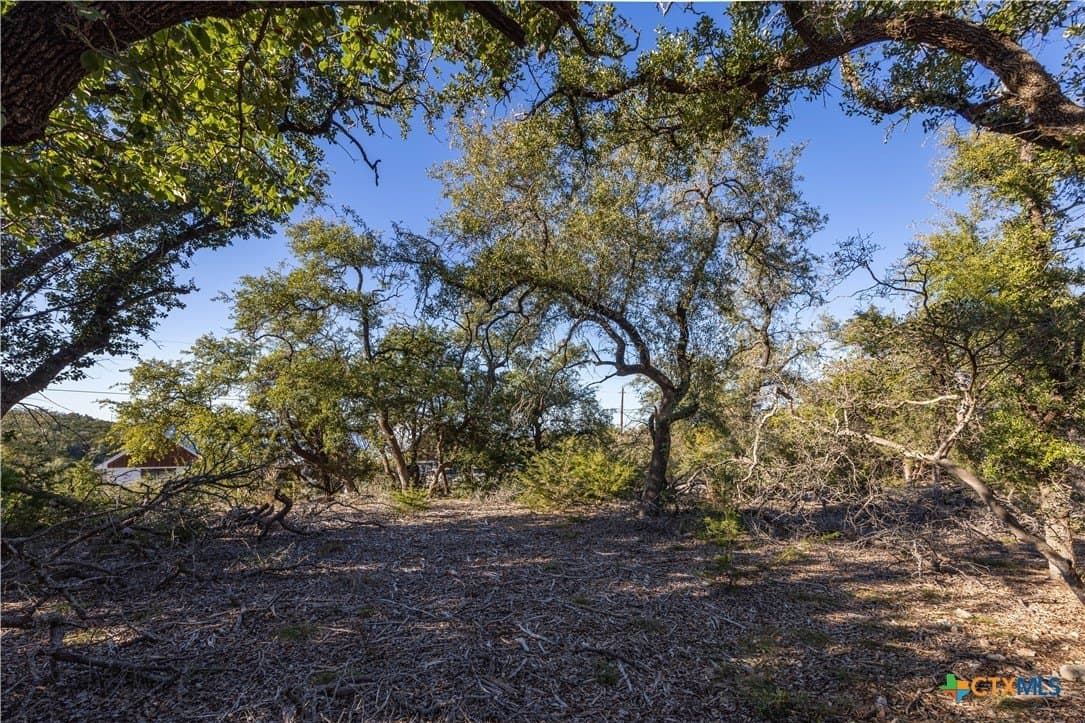 2.25 acres in Hays County - photo 8