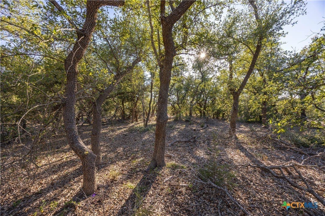 2.25 acres in Hays County - photo 7