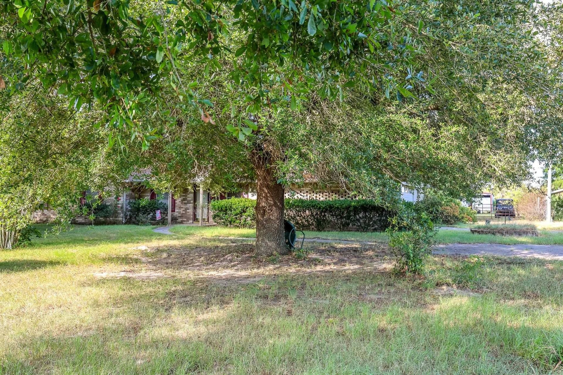 227 acres in Panola County - photo 29