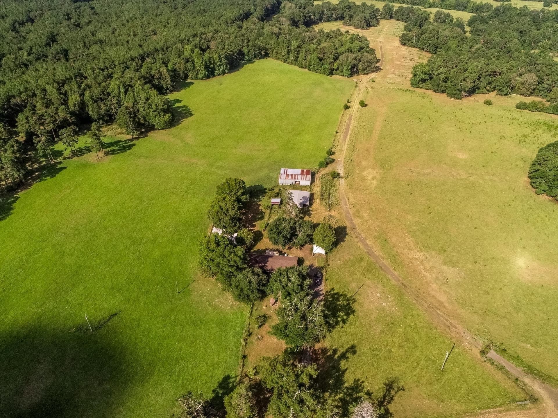 227 acres in Panola County - photo 8