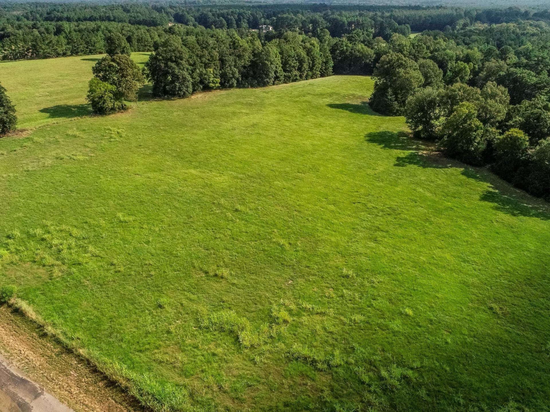 227 acres in Panola County - photo 5