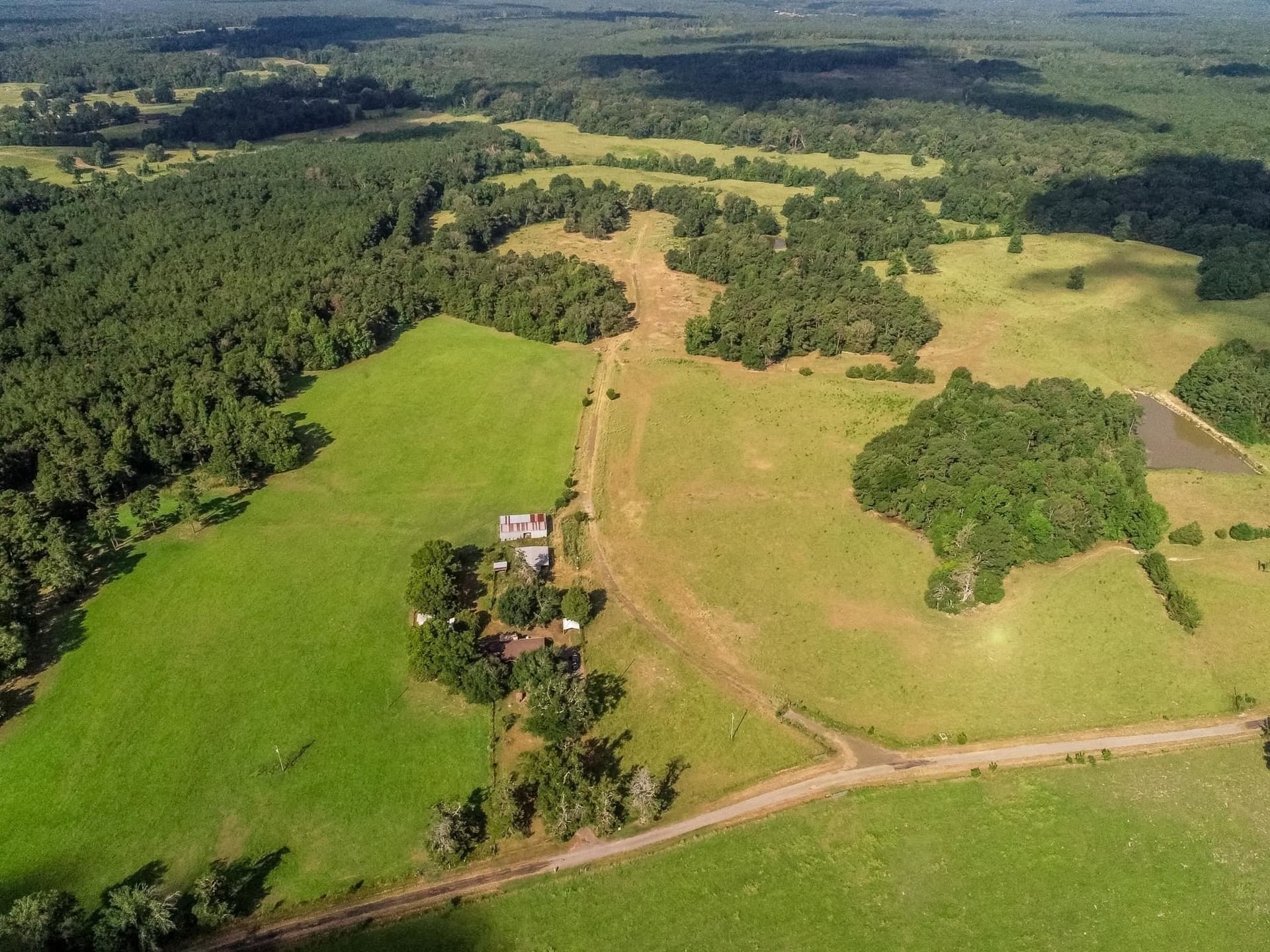227 acres in Panola County - photo 9