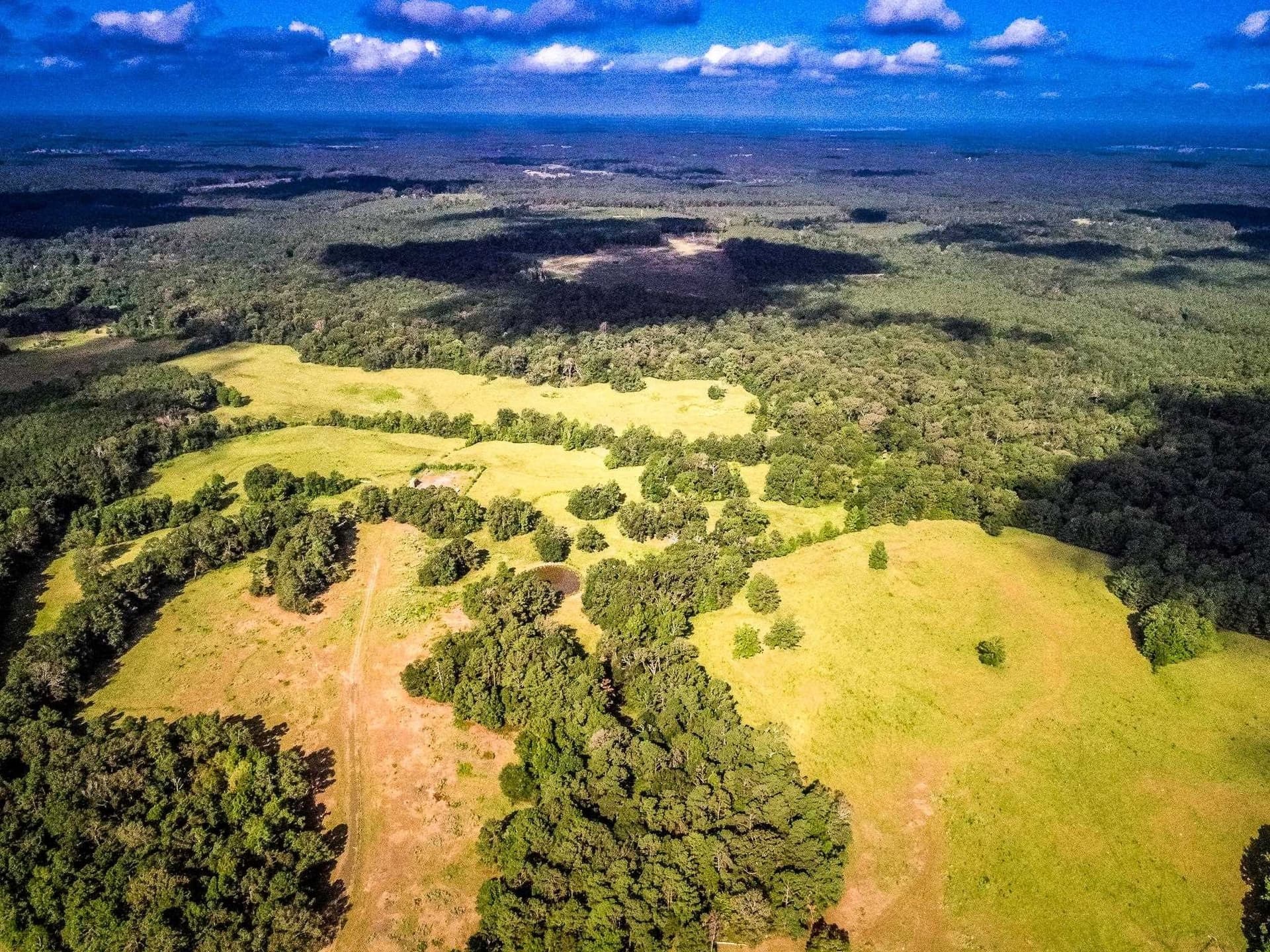 227 acres in Panola County - photo 11